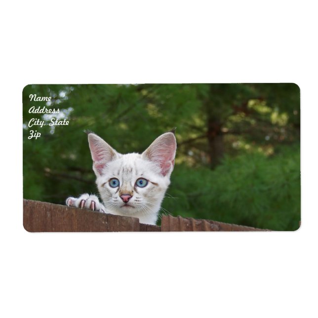 White Savannah Cat Shipping Label (Vorne)
