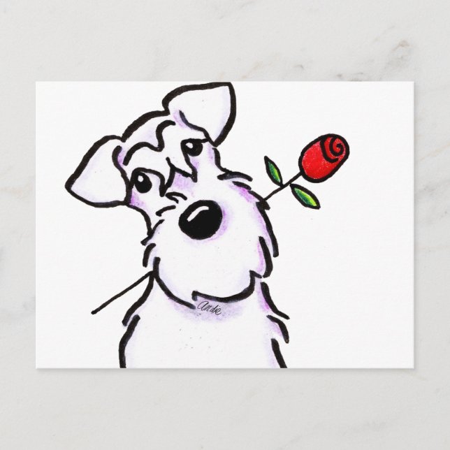 White Schnauzer Sweetheart Rose Postkarte (Vorderseite)