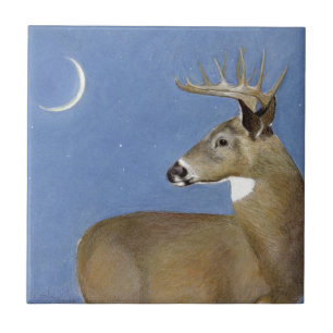 White Schwanz Buck Fliese