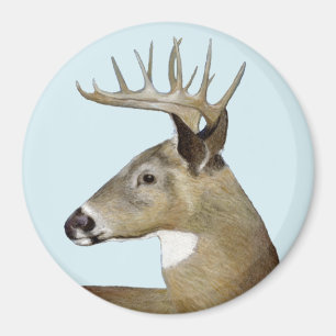 White Schwanz Buck Magnet