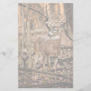 White Schwanz Deer Buck Briefpapier
