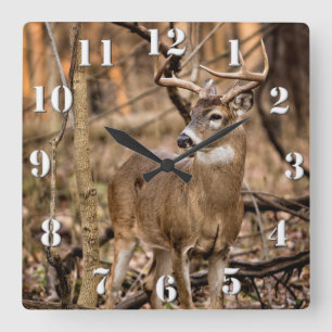 White Schwanz Deer Buck Quadratische Wanduhr