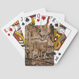 White Schwanz Deer Buck Spielkarten