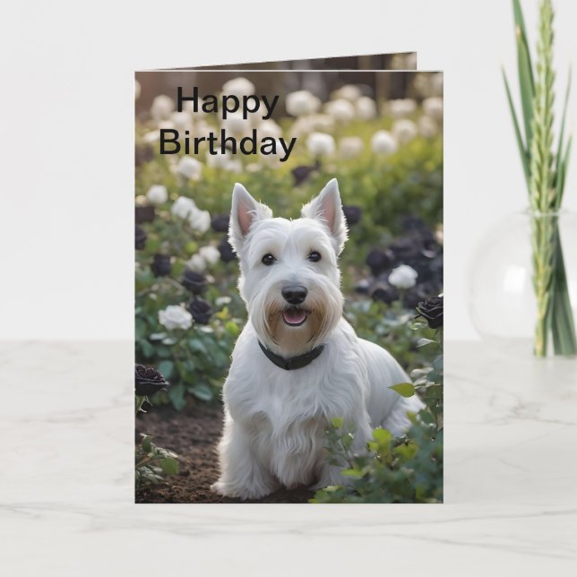 White Scottish Terrier in Schwarz-weißen Rose, Bda Karte (Vorderseite)