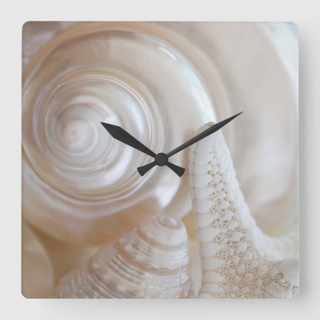 White Seashells Starfish Tropical Beach Muscheln Quadratische Wanduhr (Vorderseite)