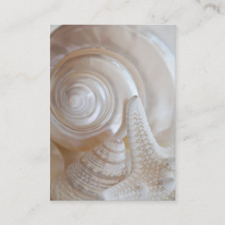 White Seashells Starfish Tropical Beach Muscheln Visitenkarte