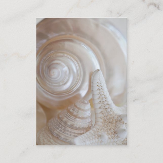 White Seashells Starfish Tropical Beach Muscheln Visitenkarte (Vorderseite)