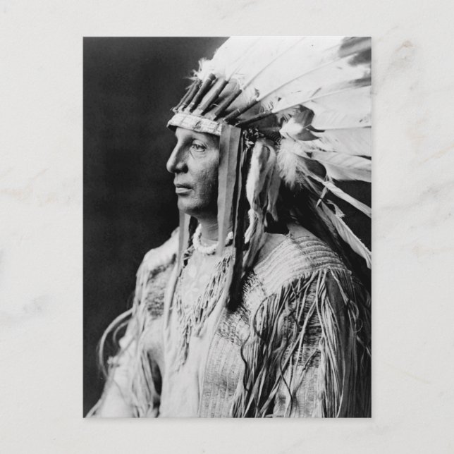 White Shield - Indianerischer Amerikanische Ureinw Postkarte (Vorderseite)