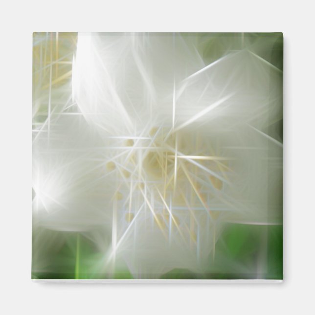 White Shiny Jasmine Magnet (Vorne)