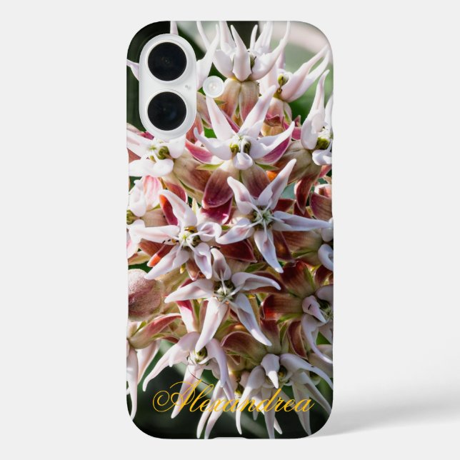 White Showy Milkweed - Naturfotografie iPhone 16 Hülle (Rückseite)