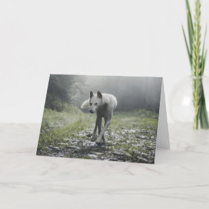 White Siberian Husky Dankeskarte