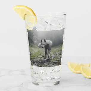 White Siberian Husky Glas