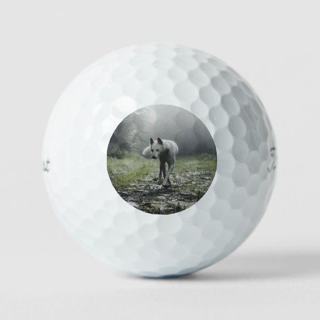 White Siberian Husky Golfball (Vorderseite)