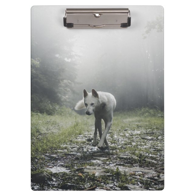 White Siberian Husky Klemmbrett (Vorderseite)