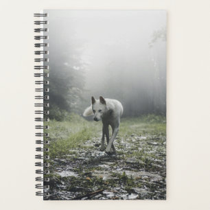 White Siberian Husky Planer