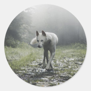 White Siberian Husky Runder Aufkleber