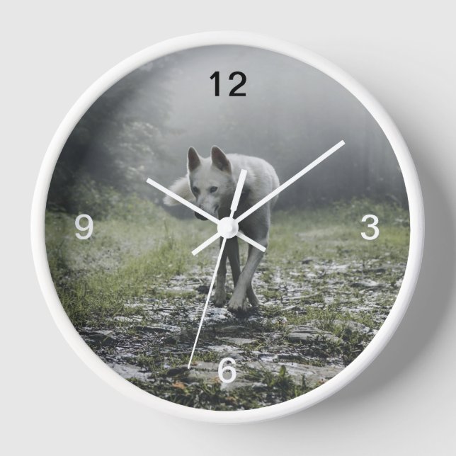White Siberian Husky Uhr (Vorderseite)