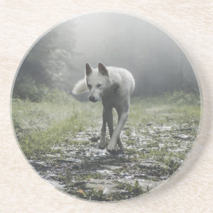 White Siberian Husky Untersetzer