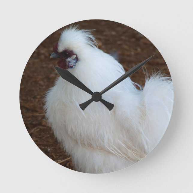 White Silkie Chicken Runde Wanduhr (Vorderseite)