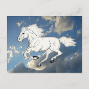 White Sky Horse Postcard Postkarte