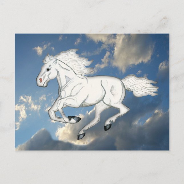 White Sky Horse Postcard Postkarte (Vorderseite)