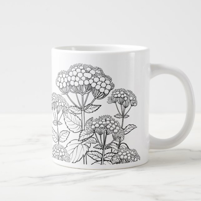 White Snakeroot - Ageratina altissima - Native Jumbo-Tasse (Rechts)