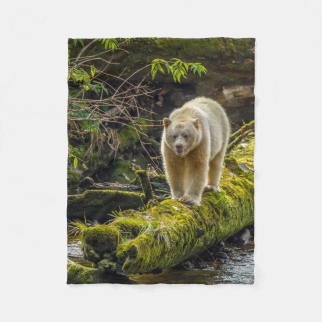 White Spirit Bear | British Columbia, Kanada Fleecedecke (Vorderseite)