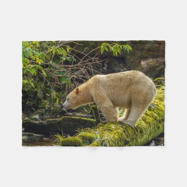 White Spirit Bear Fleecedecke (Vorderseite (Horizontal))
