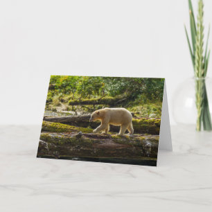 White Spirit Bear Hunts Karte