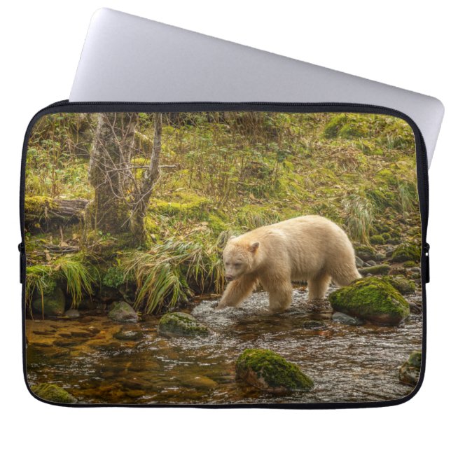 White Spirit Bear jagt Fische auf Riordan Creek Laptopschutzhülle (Vorderseite)
