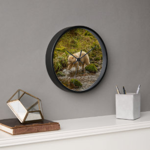 White Spirit Bear jagt Fische auf Riordan Creek Uhr