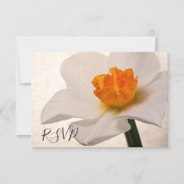 White Spring Daffodil Wedding Réponse RSVP