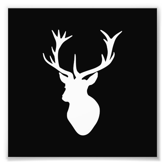 White Stag Head Fotodruck (Vorne)
