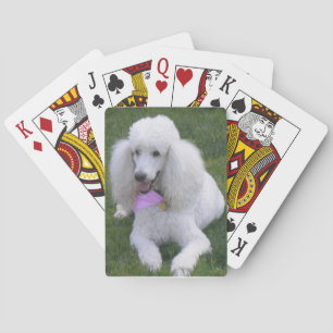 White Standard Poodle Playing Cards Spielkarten