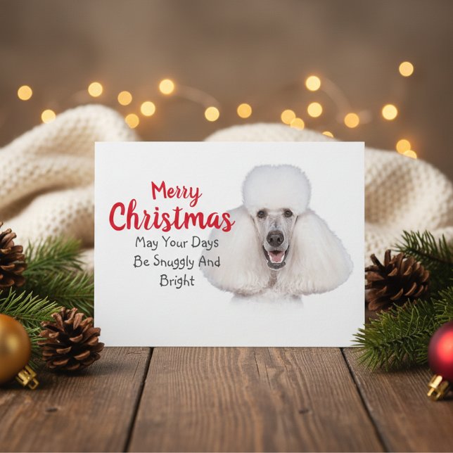White Standard Poodle Weihnachtskarte Feiertagspostkarte (White Standard Poodle Christmas Card)