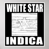 WHITE STAR INDICA
