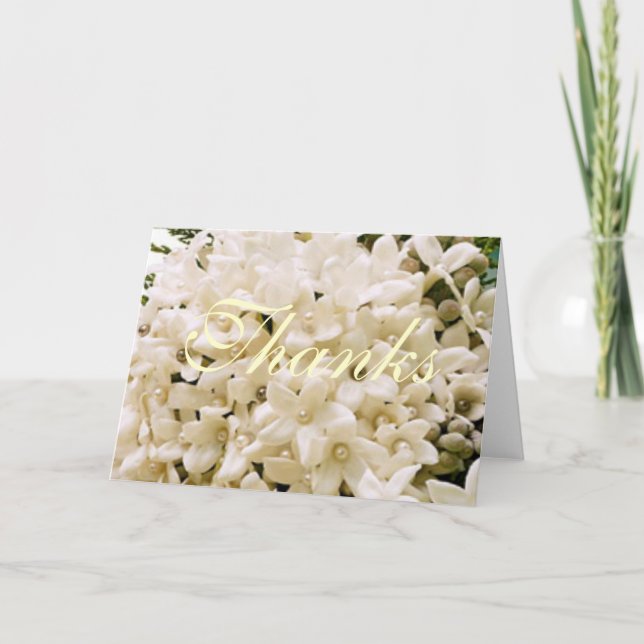 White Stephanotis Floral Merci Notes (Devant)