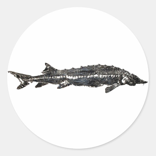 White Sturgeon Gyotaku-40-Item Runder Aufkleber (Vorderseite)