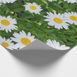 White Summer Daisy Garden Geschenkpapier
