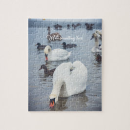 White Swan