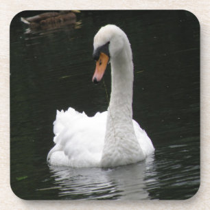 White Swan Cork Untersetzer