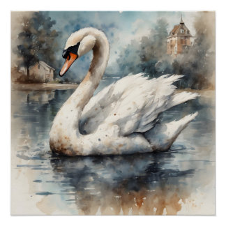 White Swan no 5 Glossy Poster