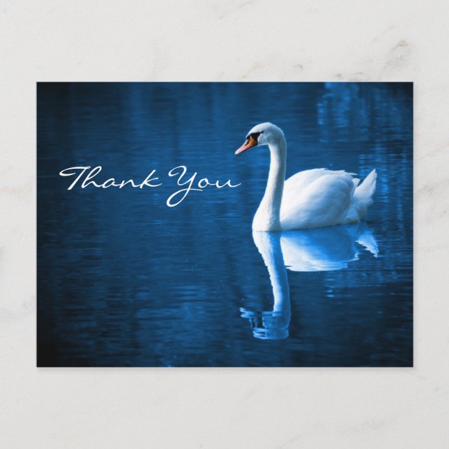 White Swan on Blue Waters Danke Postcard Postkarte (Vorderseite)