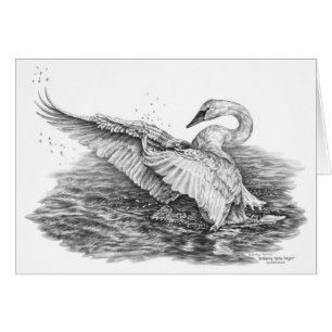 White Swan on Water Zeichnend von Kelli Swan