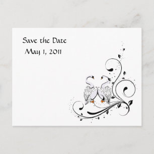White Swan Save the Date Ankündigungspostkarte
