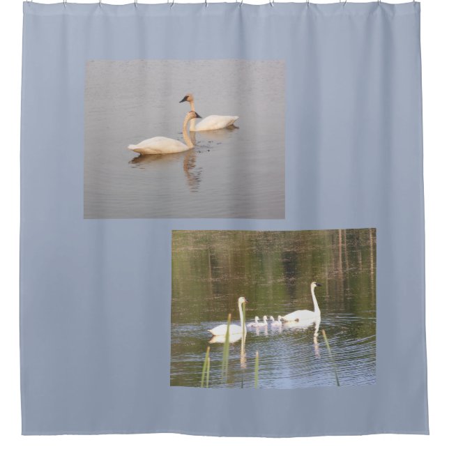 White Swans Duschvorhang (Vorderseite)