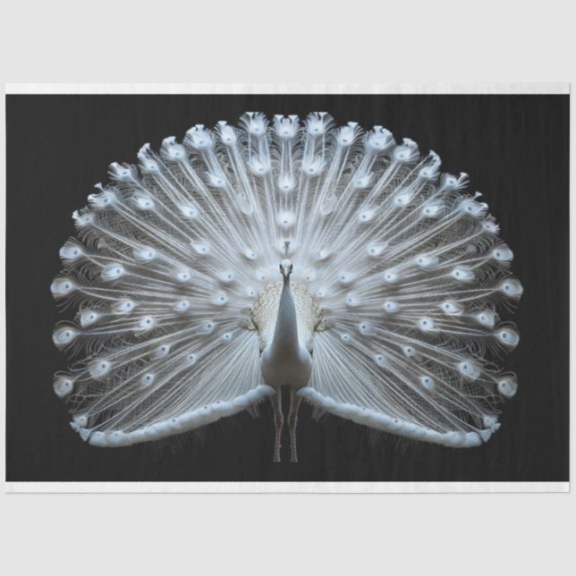 White Tail Peacock Decoupage Seidenpapier (Vorderseite)