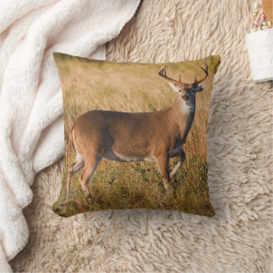 White-tailed Deer   Autumn in TX Kissen