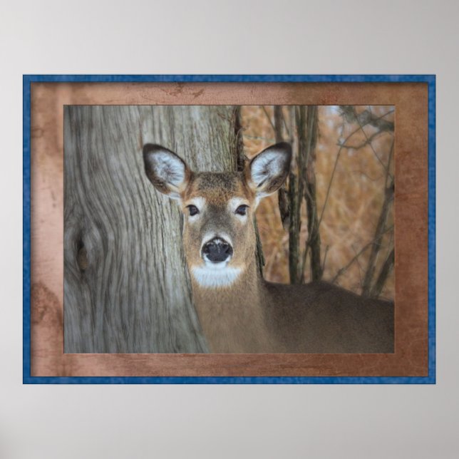 White Tails Death Caught Staring Poster (Vorne)