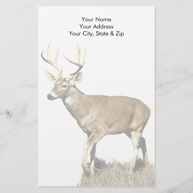 White Tails Deer Buck Briefpapier (Vorderseite)